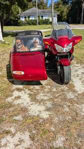 PXL 20241019 154309630