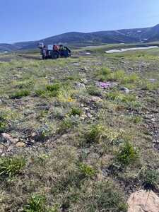 545BA2F2 31E3 48D2 A391 B260702539B8 1 105 c