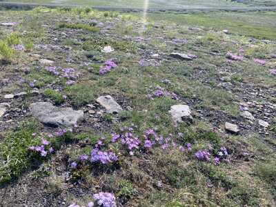 9EEF2303 8117 464F 8F01 67D8A6EFBD2A 1 105 c