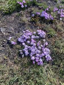 7F4B9B68 7E4D 41AE A9FF 2629DC8BCDE2 1 105 c