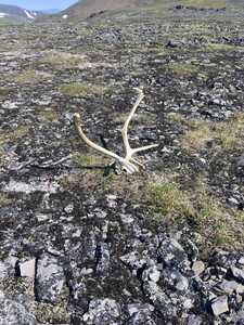 89854F3D ACD3 405D A7A1 8D20619DDB7B 1 105 c