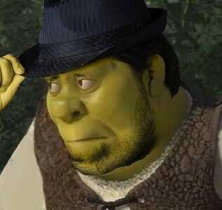 shrek beard hat shrek beard hat