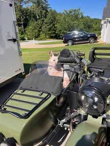 IMG 1101 IMG 1101