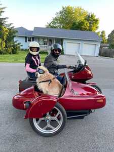 1986 R80ST2 1986 R80ST2