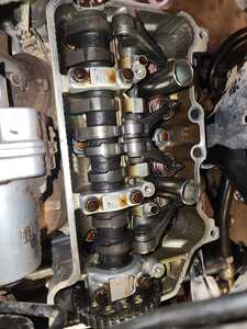 20250317 214739 20250317 214739