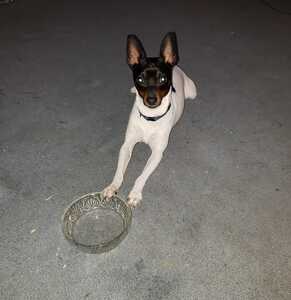 20220309 185224 20220309 185224