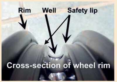 tl lipgraphic tl lipgraphic