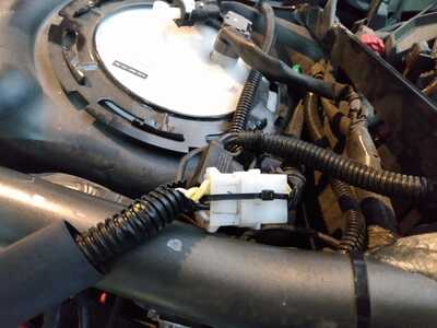 IMG 20250628 162502890 IMG 20250628 162502890