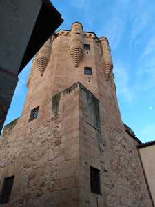 IMG 20251108 072402193