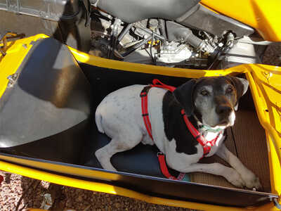 Harnessed And Ready Harnessed And Ready