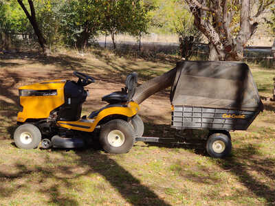 Screeching Yellow Zonker Screeching Yellow Zonker