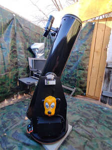 Pluto The Dob Pluto The Dob