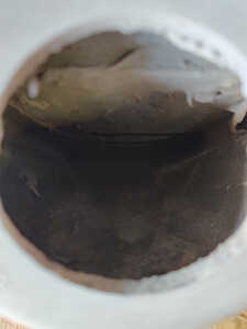 Fuel Filler Neck Interior