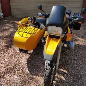 Supermuttress in Sidecar Supermuttress in Sidecar