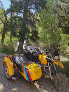 Chillin In The Shade Chillin In The Shade