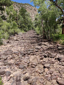 Dry Fork Plume Dried Up Dry Fork Plume Dried Up
