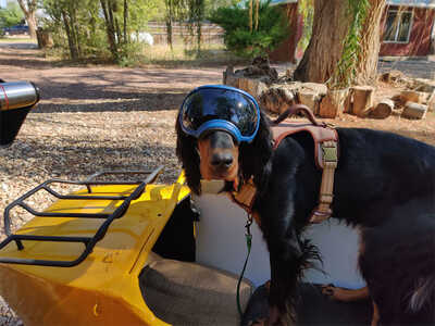 Geared Up And Ready Geared Up And Ready