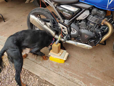 Forepup Ground Clearance Ch Forepup Ground Clearance Ch