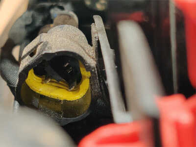 Brake Lamp Harness Brake Lamp Harness