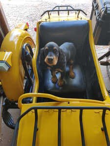 Miles Chariot Inspection