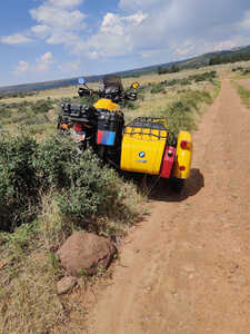 Crash Rear Crash Rear