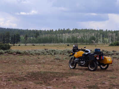 Lunch Stop Lunch Stop