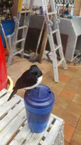 IMG 20261002 WA0003