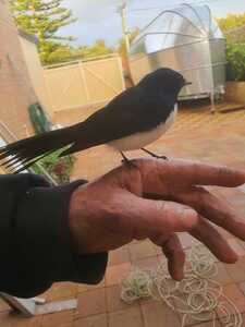 IMG 20261002 WA0002