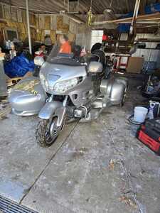 481084494 23963267389930446 4650762369633406804 n 481084494 23963267389930446 4650762369633406804 n