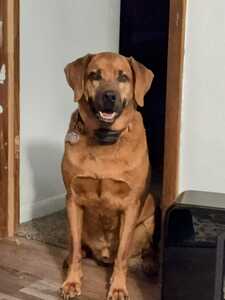 IMG 20250331 030420390~2 IMG 20250331 030420390~2