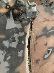IMG 8884 IMG 8884