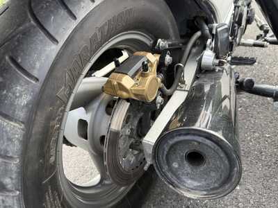 IMG 3175 IMG 3175