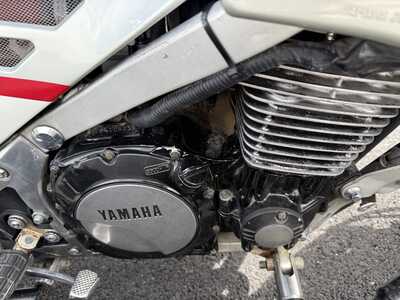 IMG 3179 IMG 3179