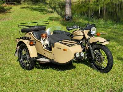 20250427 093834 20250427 093834