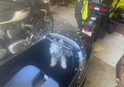 653645457 929608796142686 142652325613207952 n 653645457 929608796142686 142652325613207952 n