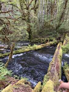 IMG 0174 IMG 0174