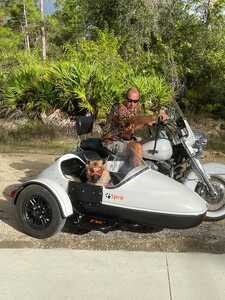 19bd7396 ed7d 493b 8276 35ffcd2ab54b