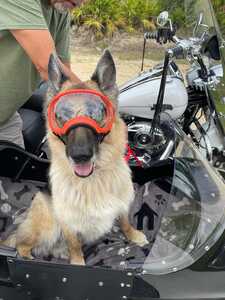 66e26d0d 422b 4537 9482 b1f075565195